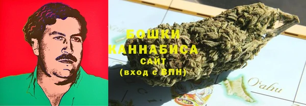 индика Няндома