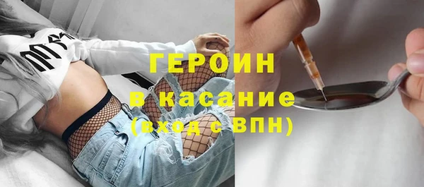 индика Няндома