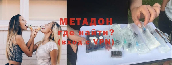 индика Няндома