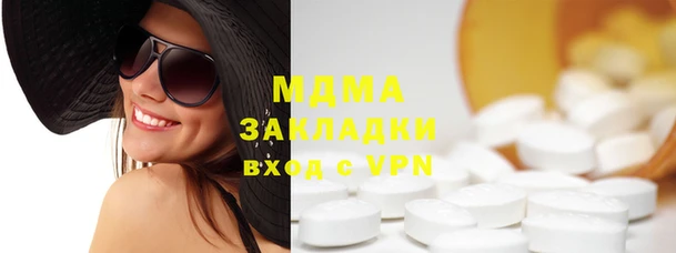 индика Няндома