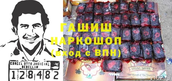 индика Няндома