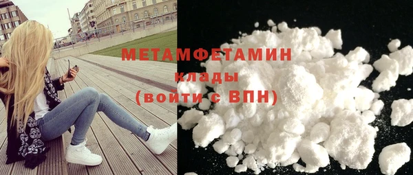 индика Няндома