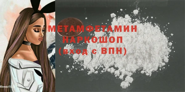 индика Няндома