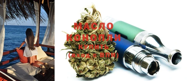 индика Няндома