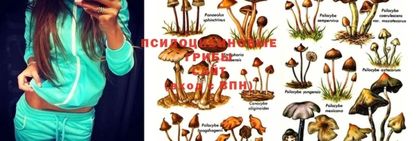 мефедрон VHQ Нязепетровск