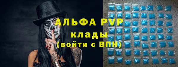 индика Няндома
