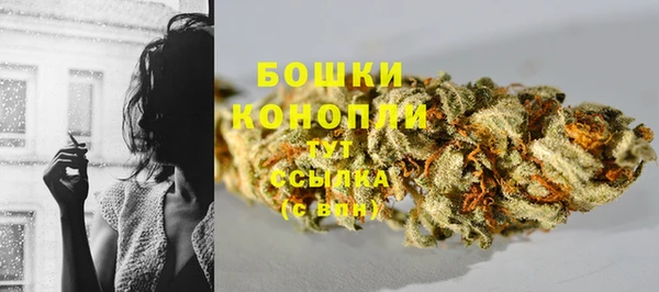 индика Няндома