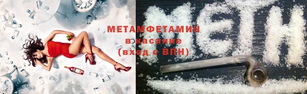 индика Няндома
