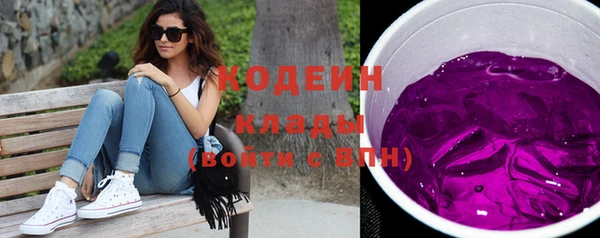 индика Няндома