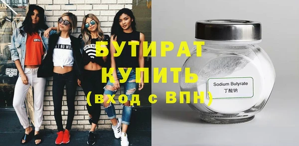 индика Няндома