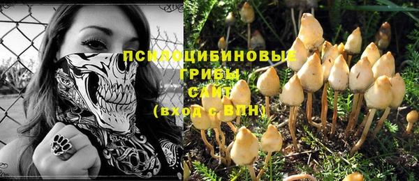 индика Няндома