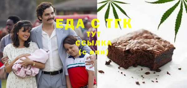 индика Няндома
