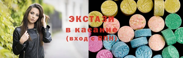 индика Няндома