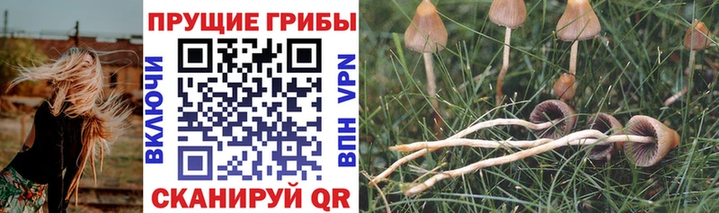 Псилоцибиновые грибы ЛСД  Шелехов 