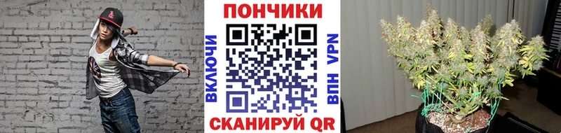 Канабис планчик  наркота  Шелехов 